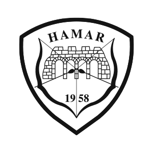Hamar og omegn bueskyttere